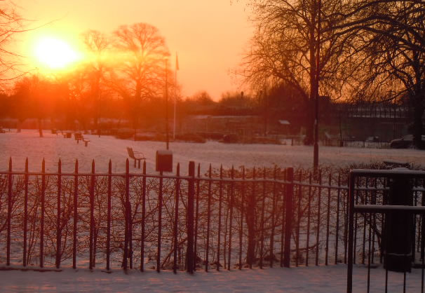 sunrise over a snowy Acton Common