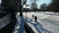 Eel Brook Common in the snow
