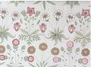 Daisy wallpaper