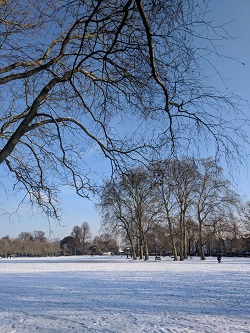Ravenscourt Park in the snow